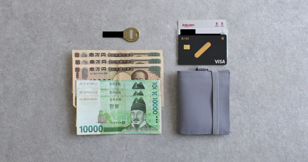 旅行バッグの中身｜財布の中身